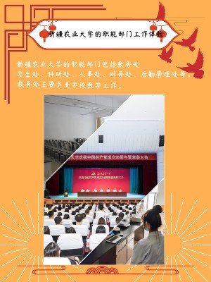 新疆农业大学的职能部门工作体验