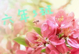 适合小学六年级的QQ群头像,我是六(5)班的