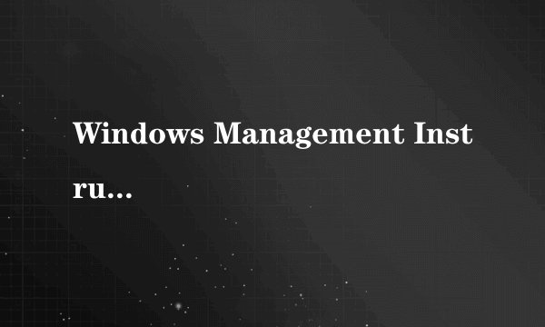 Windows Management Instrumentation是什么进程？