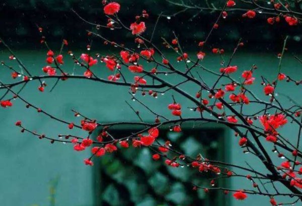 白马西风塞上杏花烟雨江南的翻译