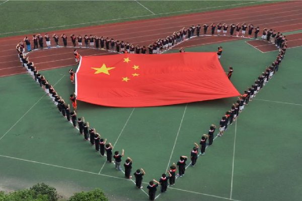 四川男心情差践踏国旗，被判处有期徒刑10个月，你支持此判决吗？