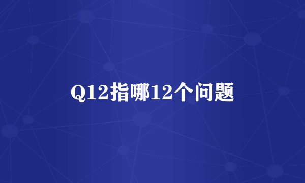 Q12指哪12个问题