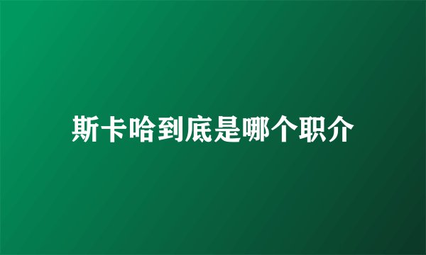 斯卡哈到底是哪个职介