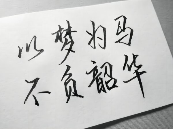 不负韶华的含义