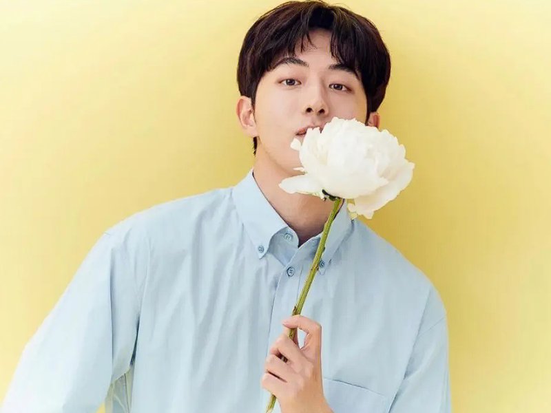 韩国明星男前十名的人