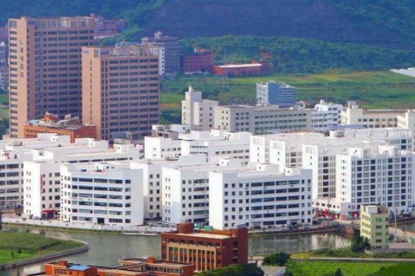 柳市镇一中教师名单