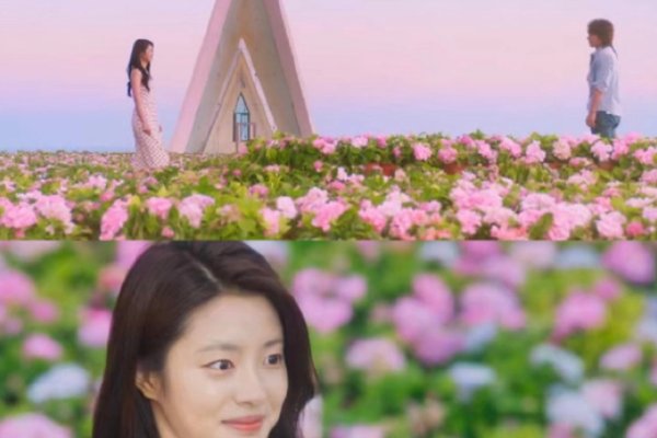 电视剧夏花结局是什么？