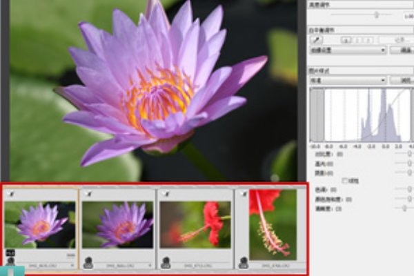 怎么快速弄出白色液体图片