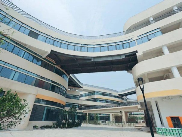 杭州小学排名前十名