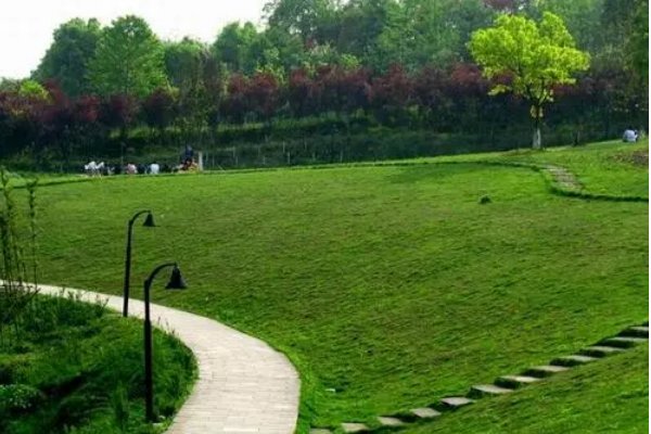 重庆最低分的公办二本