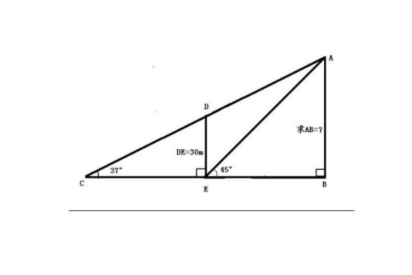 尺子20cm参照物是什么？