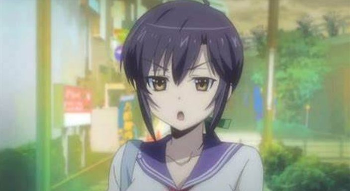 我的老婆是学生会会长有几季