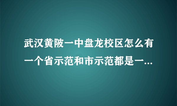 武汉黄陂一中盘龙校区怎么有一个省示范和市示范都是一个学校吗