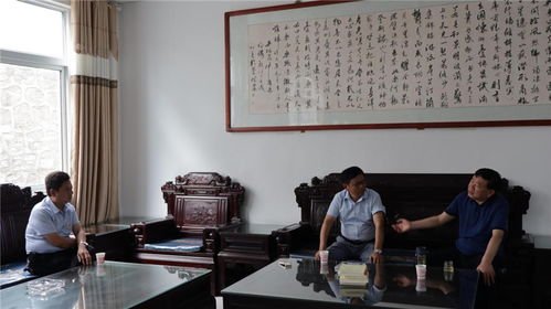 房林圣达房地产经纪公司被立案调查，被立案调查的原因是什么？