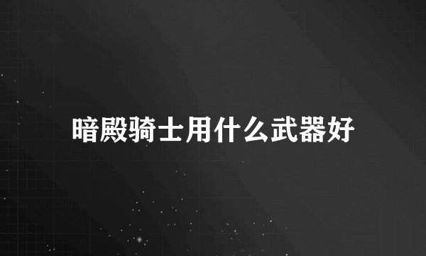 暗殿骑士用什么武器好
