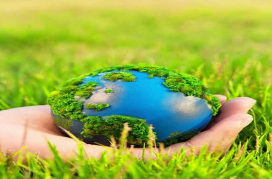 爱护环境的顺口溜