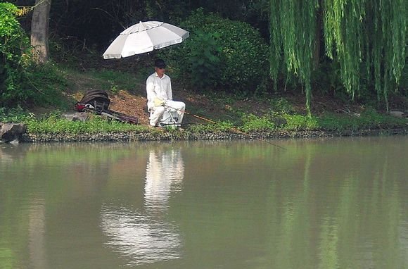 求自创的古诗，一定要押韵，一首五言绝句，一首五言律诗，一定要自创的 不能抄袭