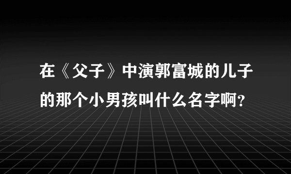 在《父子》中演郭富城的儿子的那个小男孩叫什么名字啊？