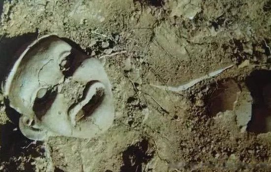 女娲真身吓人的图片 墓中挖到很恐怖的蛇身(假的)