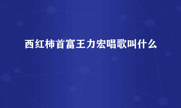 西红柿首富王力宏唱歌叫什么