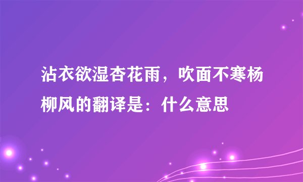 沾衣欲湿杏花雨，吹面不寒杨柳风的翻译是：什么意思