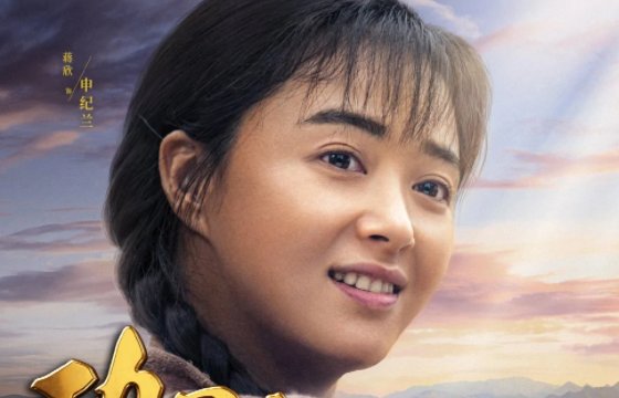 《功勋》的八个人物分别是谁？