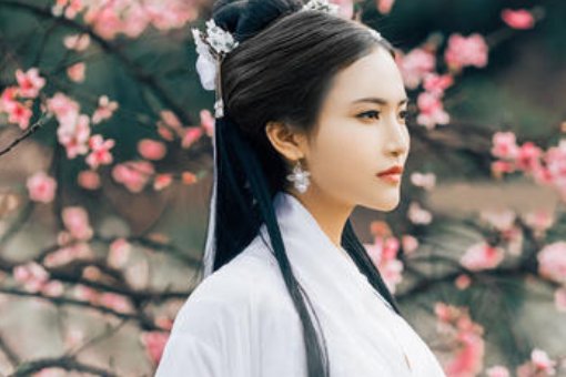 年岁的年是什么意思？