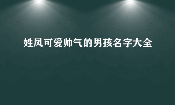 姓凤可爱帅气的男孩名字大全
