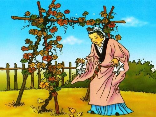 我要的是葫芦这则小故事从中明白了什么道理