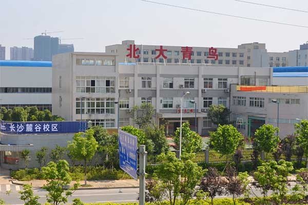 青鸟学校在什么地方