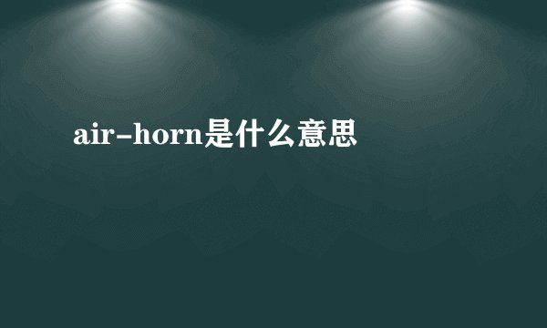 air-horn是什么意思
