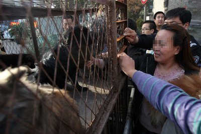 4·15高速路拦车救狗事件的介绍