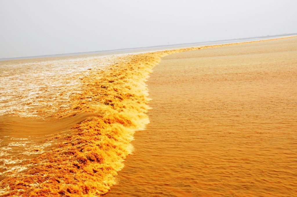 钱塘江大潮的文章和图片