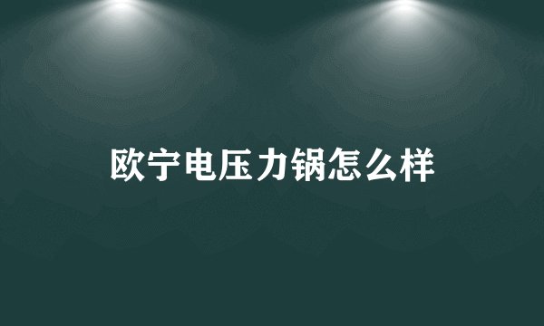 欧宁电压力锅怎么样