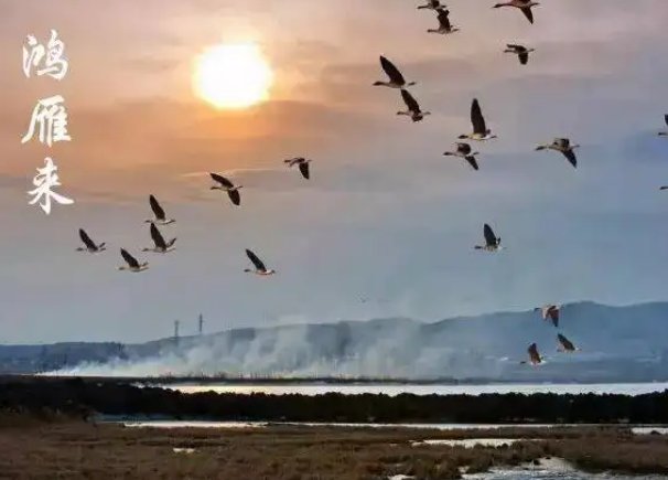 白露节气是什么来历