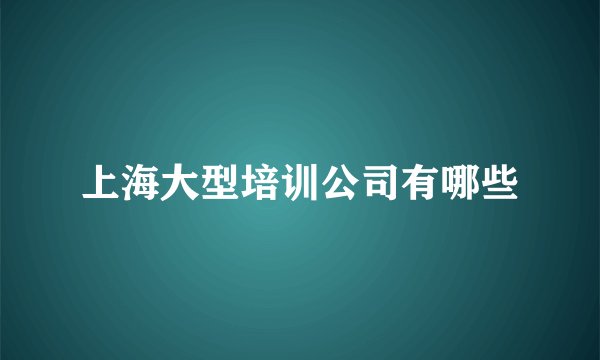 上海大型培训公司有哪些