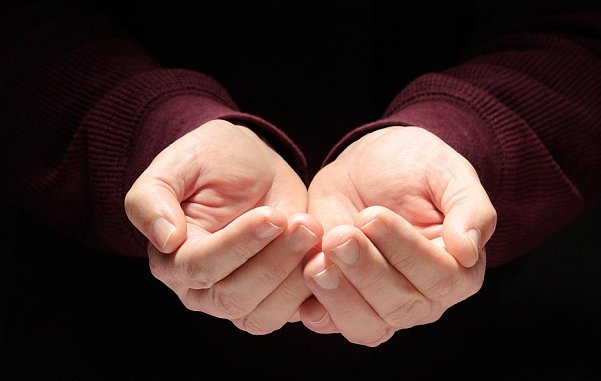 手心手背都是肉的说说