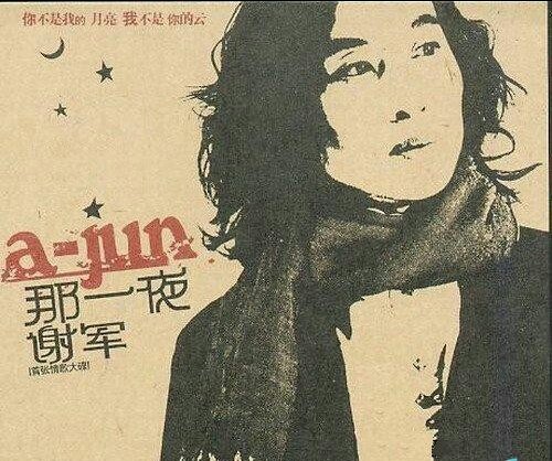 那一夜，你没有拒绝我，那一夜，我伤害了你。。。。这歌词是那首歌的？