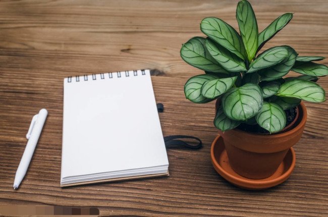 用什么成了什么造句要比喻句