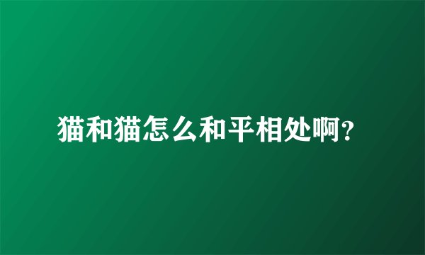 猫和猫怎么和平相处啊？