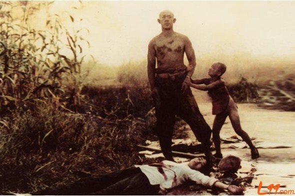 白棉花的剧情简介