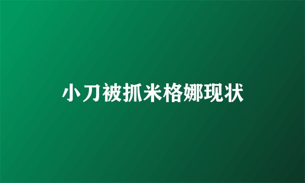 小刀被抓米格娜现状