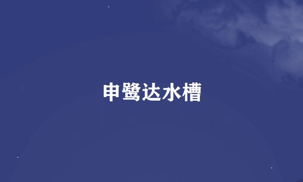 申鹭达水槽