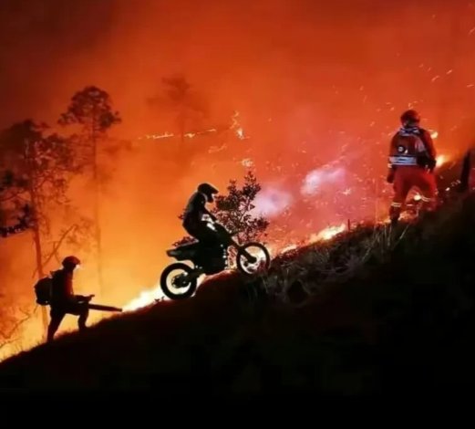 重庆“龙麻子”的新车安排上了，他的车是怎么报废的？