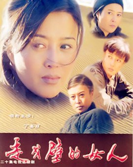 走戈壁的女人的剧情梗概