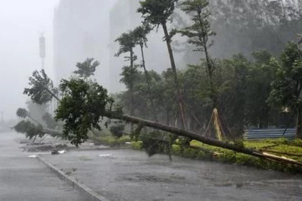 广东一记者台风中抱着柱子做报道，台风的威力到底有多大？