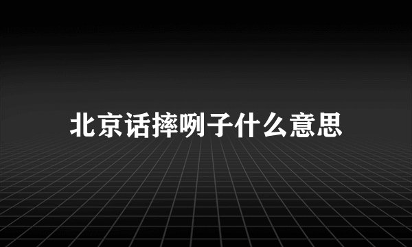 北京话摔咧子什么意思