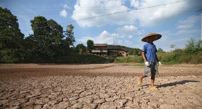 美国“番茄危机”悄然而至，价格猛涨还断货！其他农作物有受到旱情影响吗？