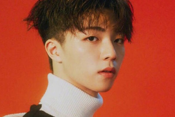 《时光机》导演蔡怡芬请辞，她请辞离开剧组的原因是什么？