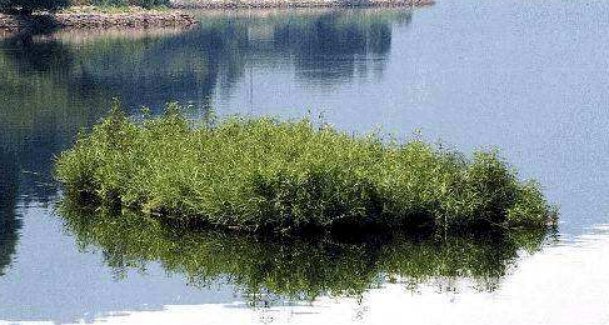 请问浮岛怎么形成的